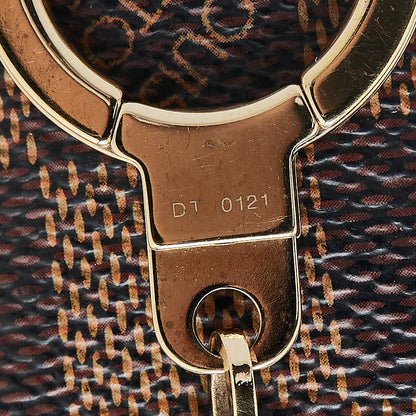 Louis Vuitton Astropill Damier Keyring