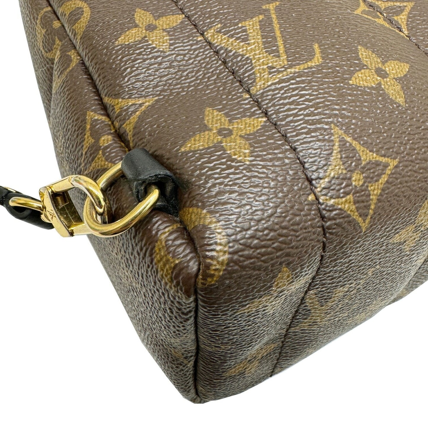 Louis Vuitton Palm Springs mini