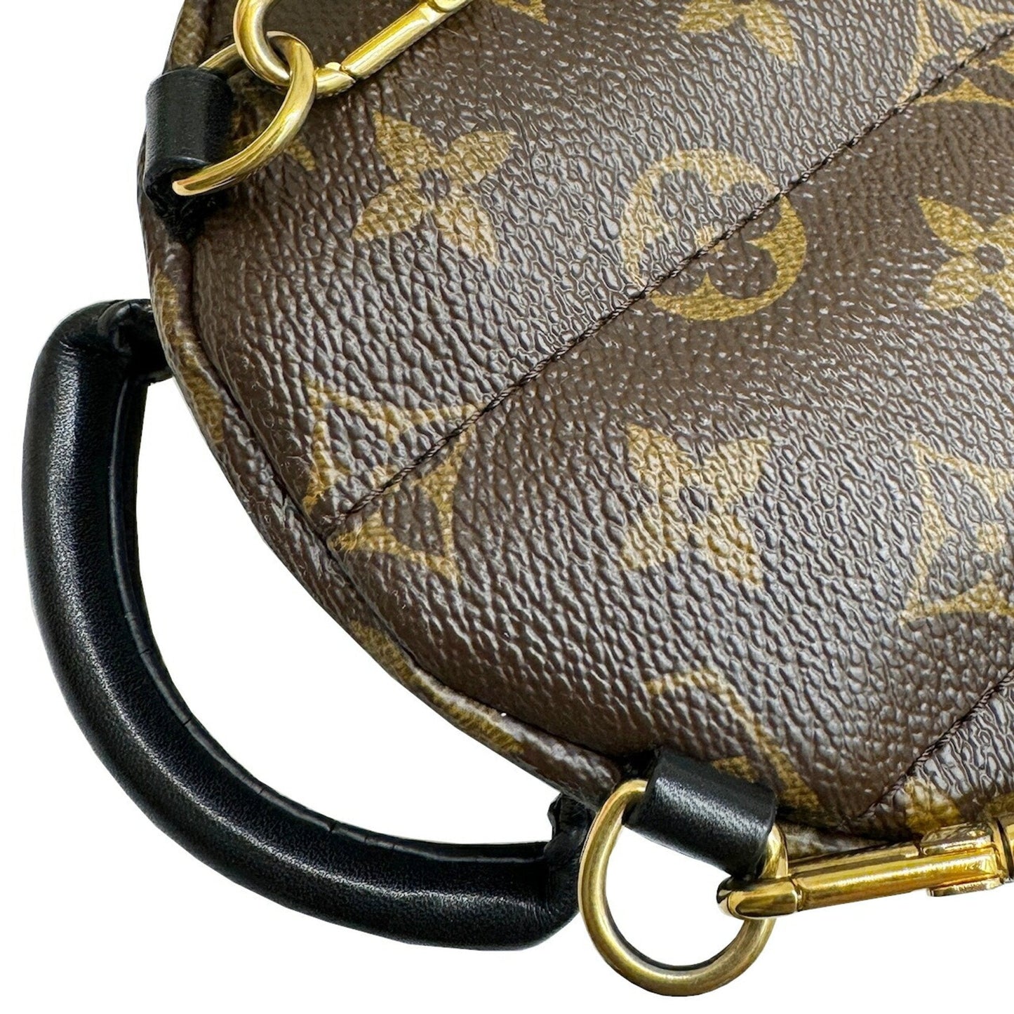 Louis Vuitton Palm Springs mini