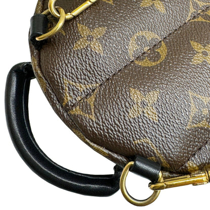 Louis Vuitton Palm Springs mini