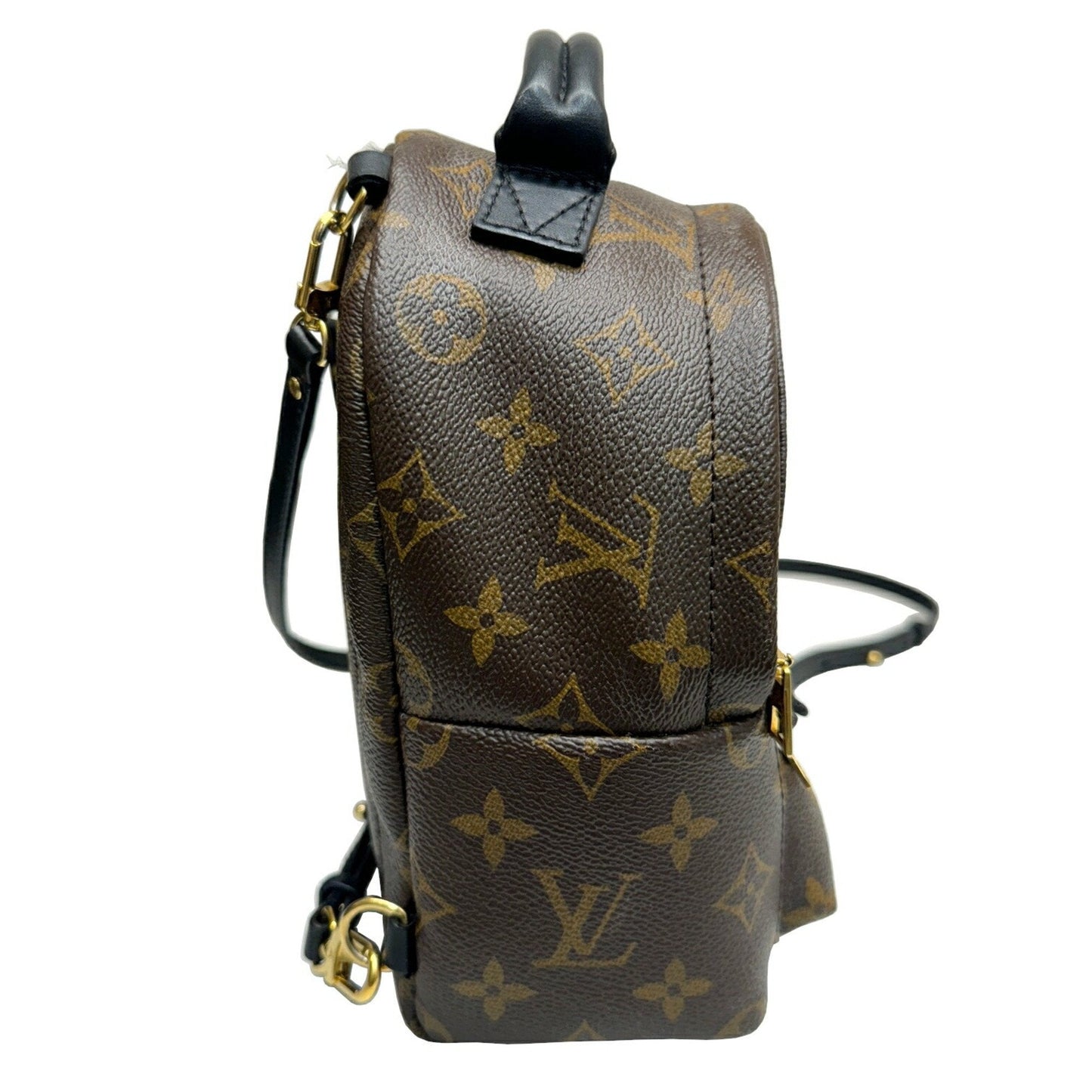 Louis Vuitton Palm Springs mini