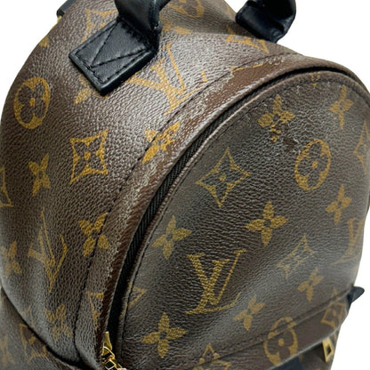 Louis Vuitton Palm Springs mini