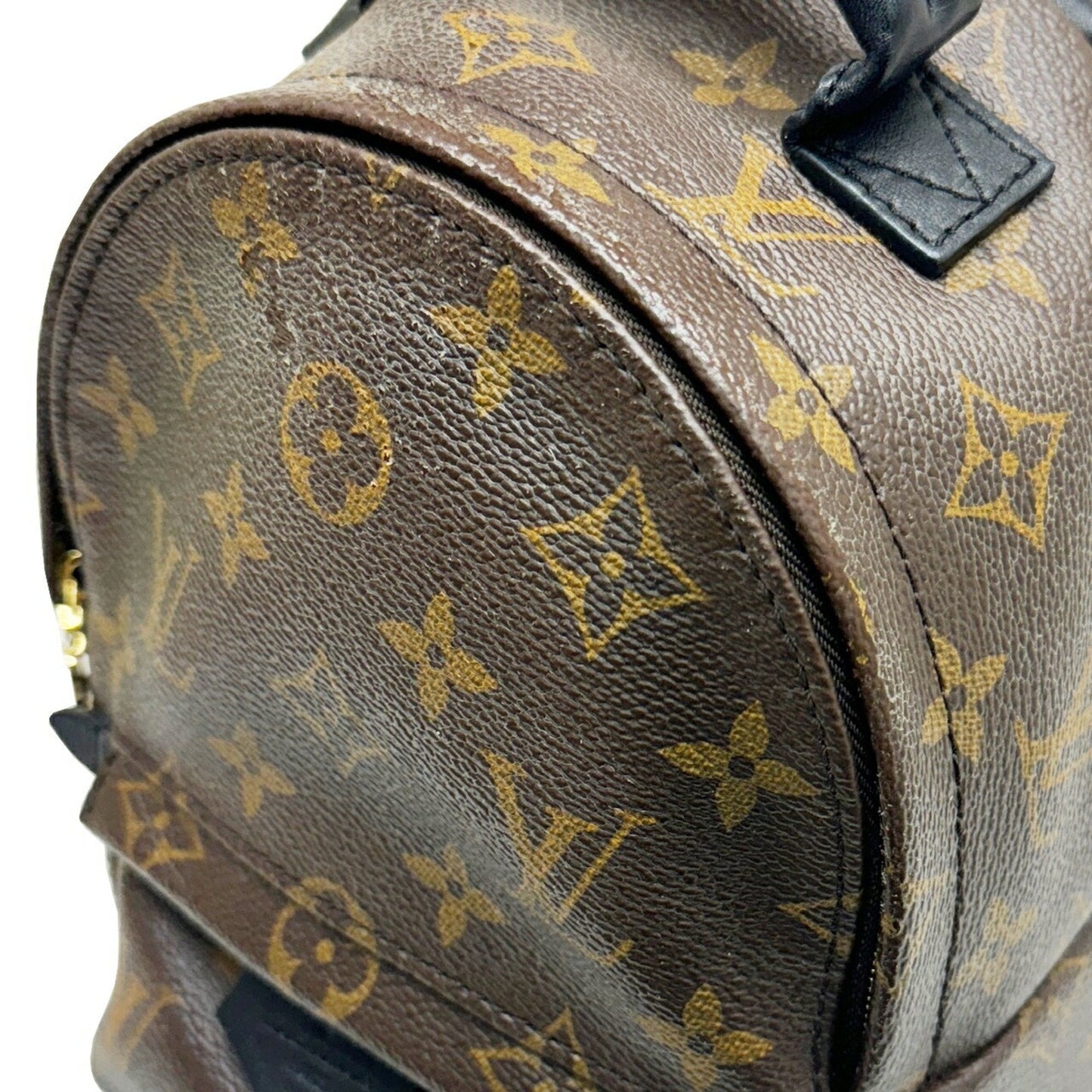 Louis Vuitton Palm Springs mini