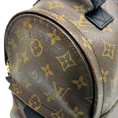 Louis Vuitton Palm Springs mini