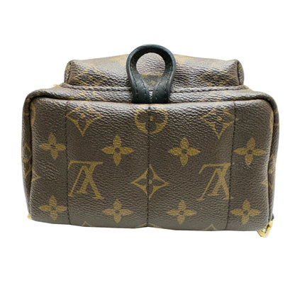 Louis Vuitton Palm Springs mini