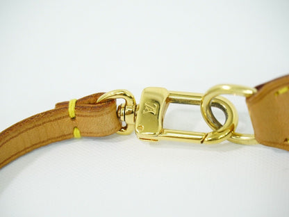 Louis Vuitton Pochette Accessoire