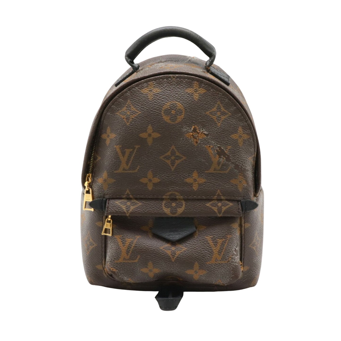 Louis Vuitton Palm Springs
