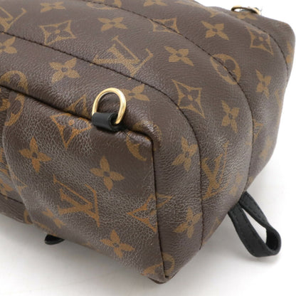 Louis Vuitton Palm Springs