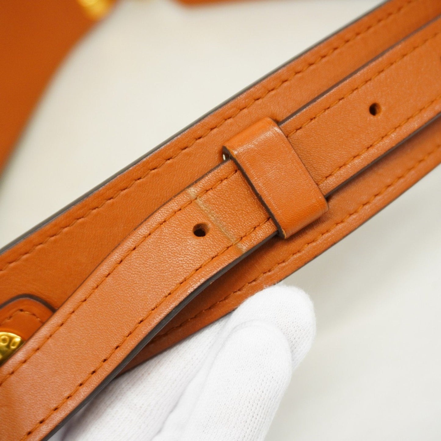 Louis Vuitton Dauphine Belt Bag