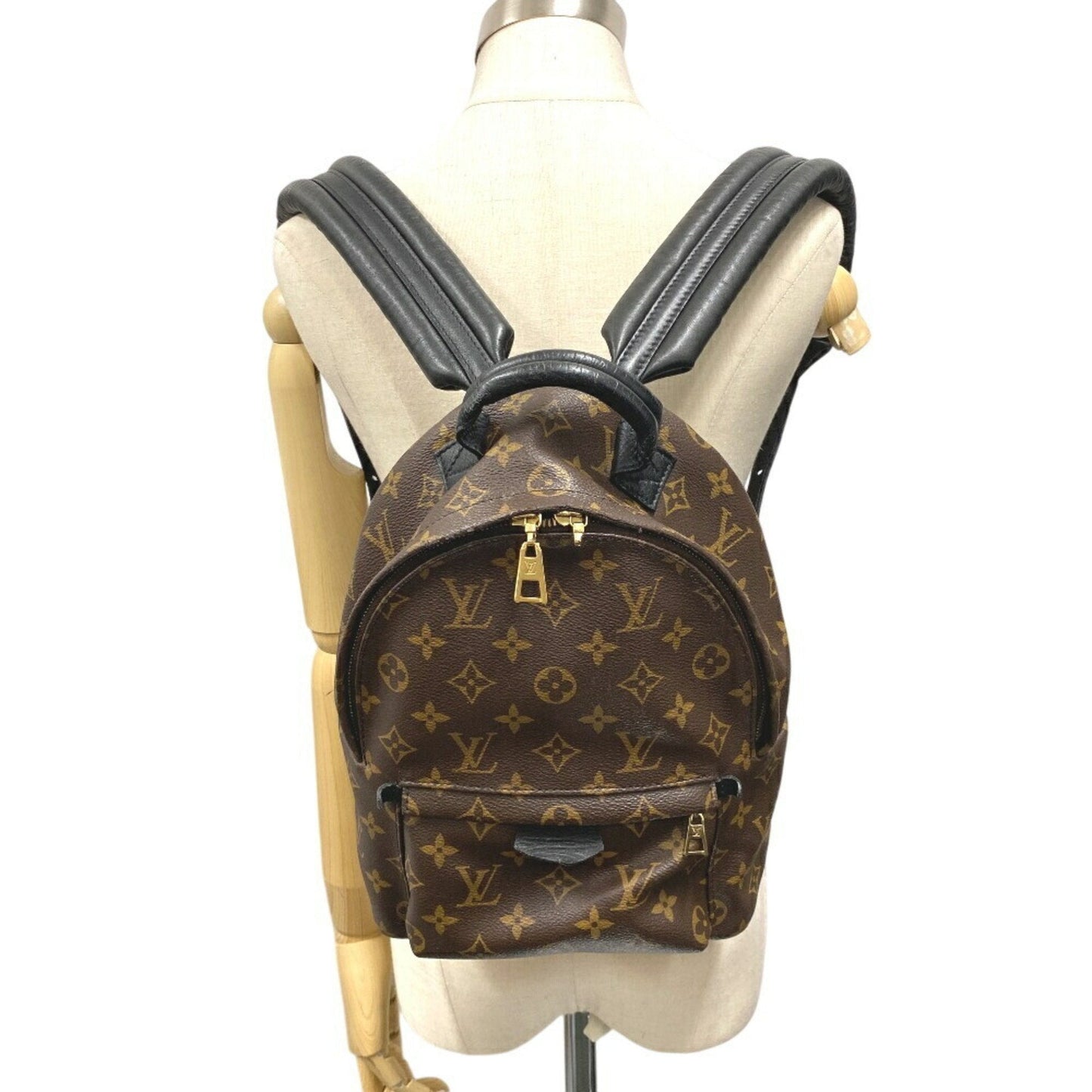 Louis Vuitton Palm Springs mini