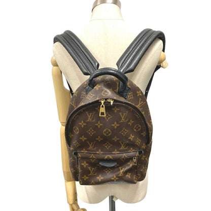 Louis Vuitton Palm Springs mini