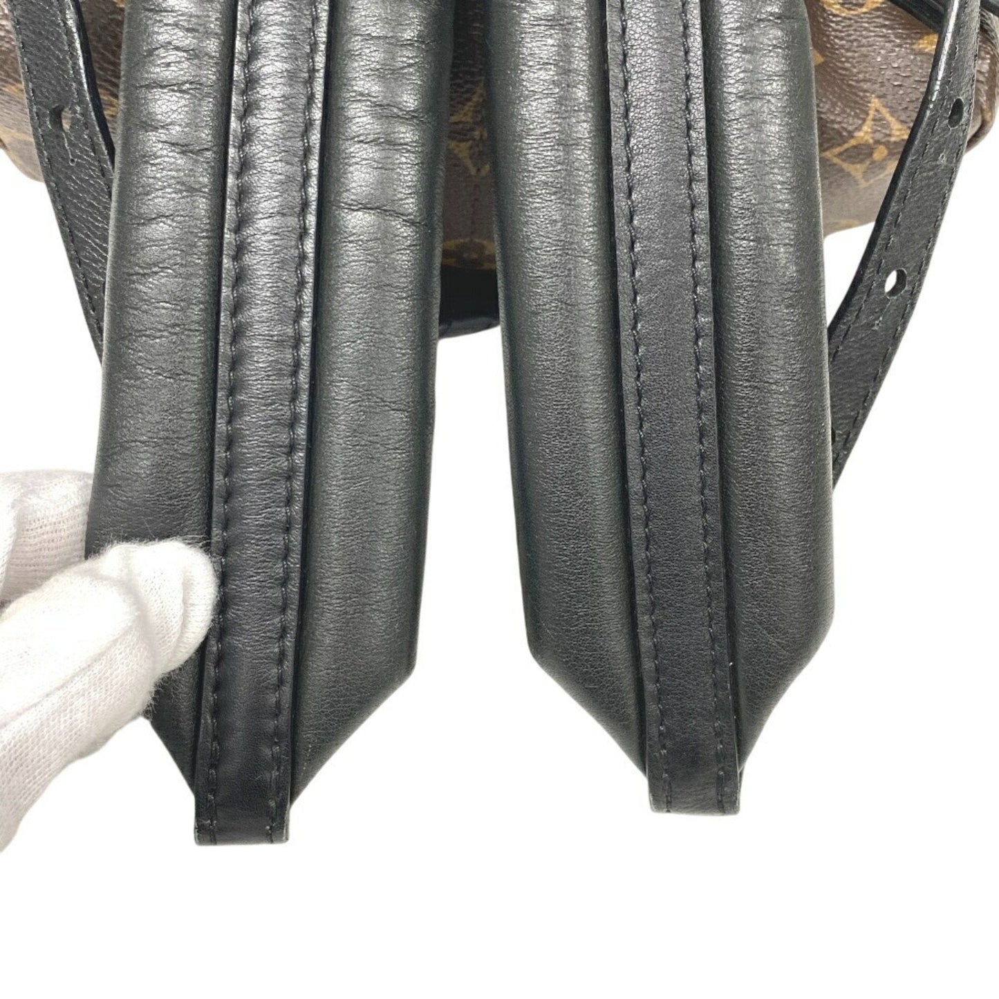 Louis Vuitton Palm Springs mini