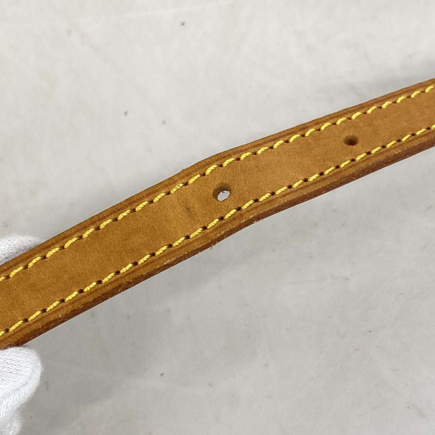 Louis Vuitton Gibeciere