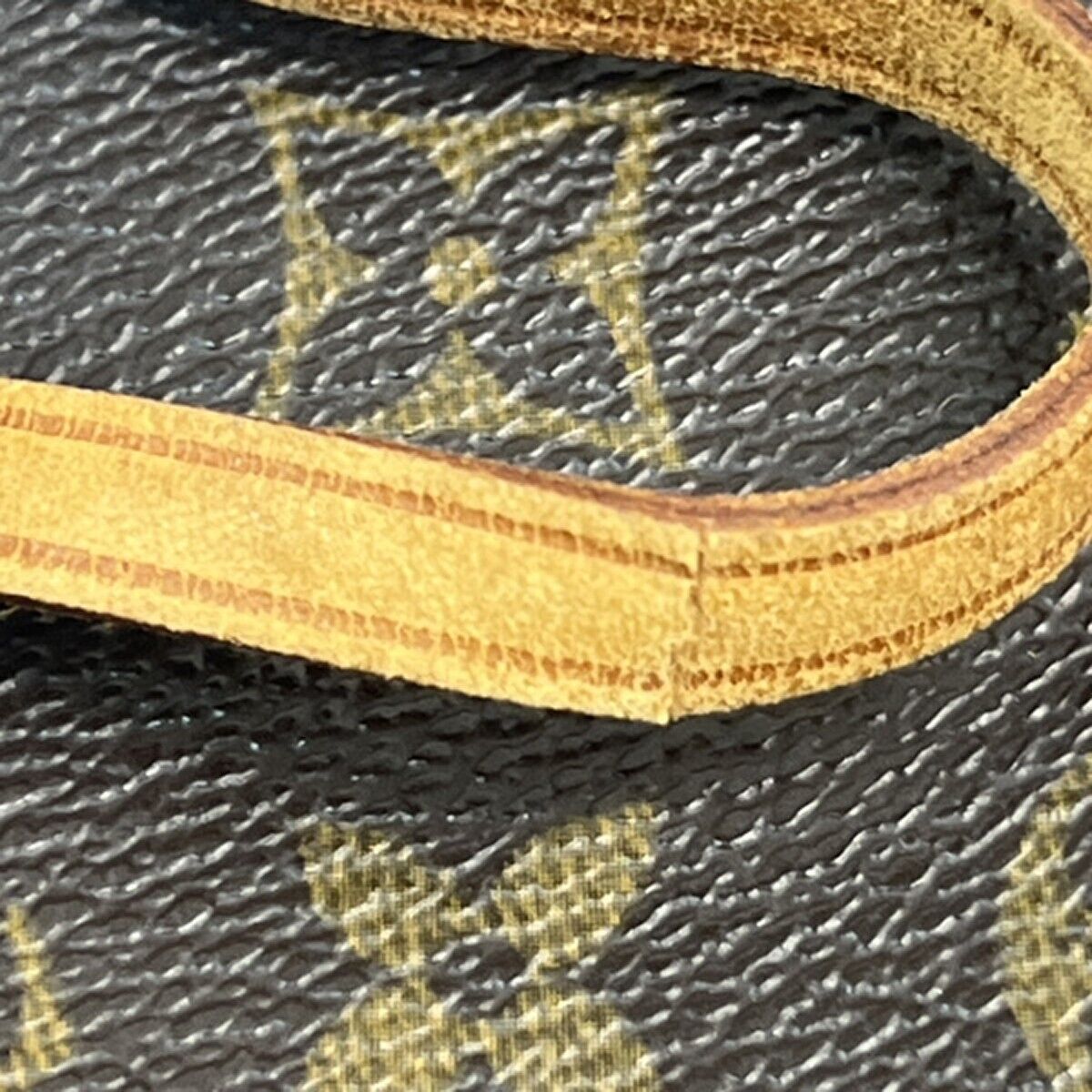 Louis Vuitton Pochette Accessoire