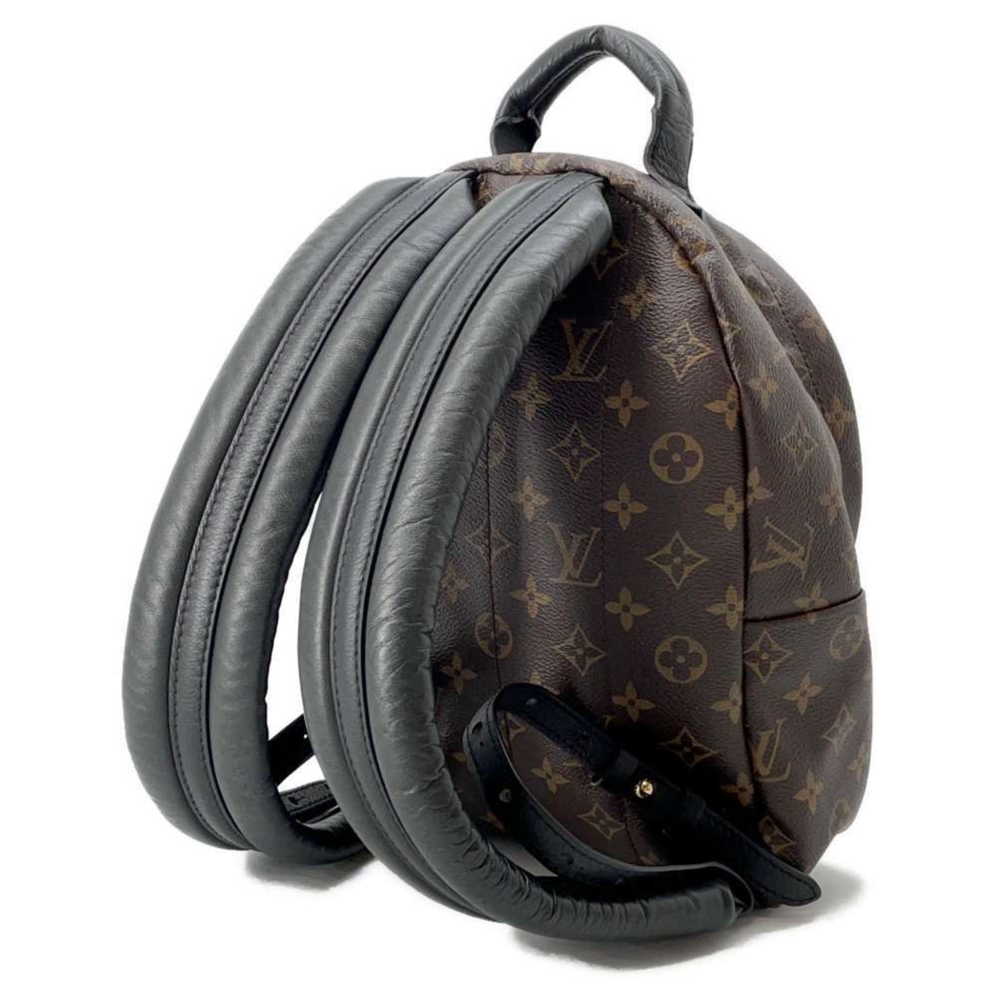 Louis Vuitton Palm Springs mini