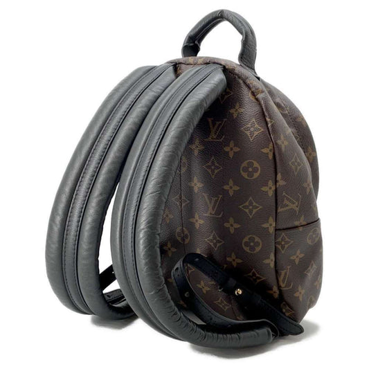 Louis Vuitton Palm Springs mini