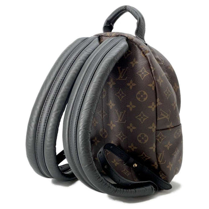 Louis Vuitton Palm Springs mini