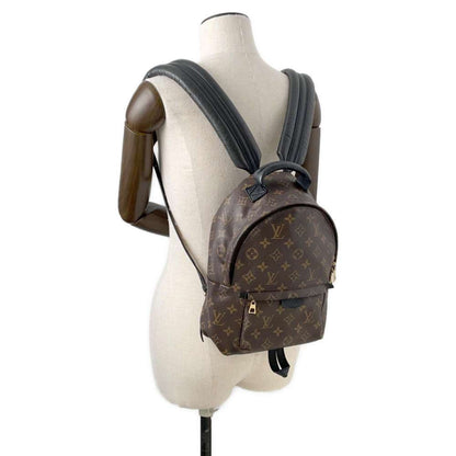 Louis Vuitton Palm Springs mini