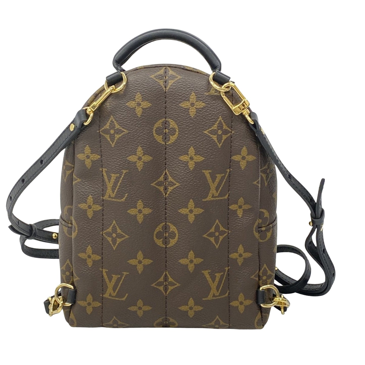 Louis Vuitton Palm Springs