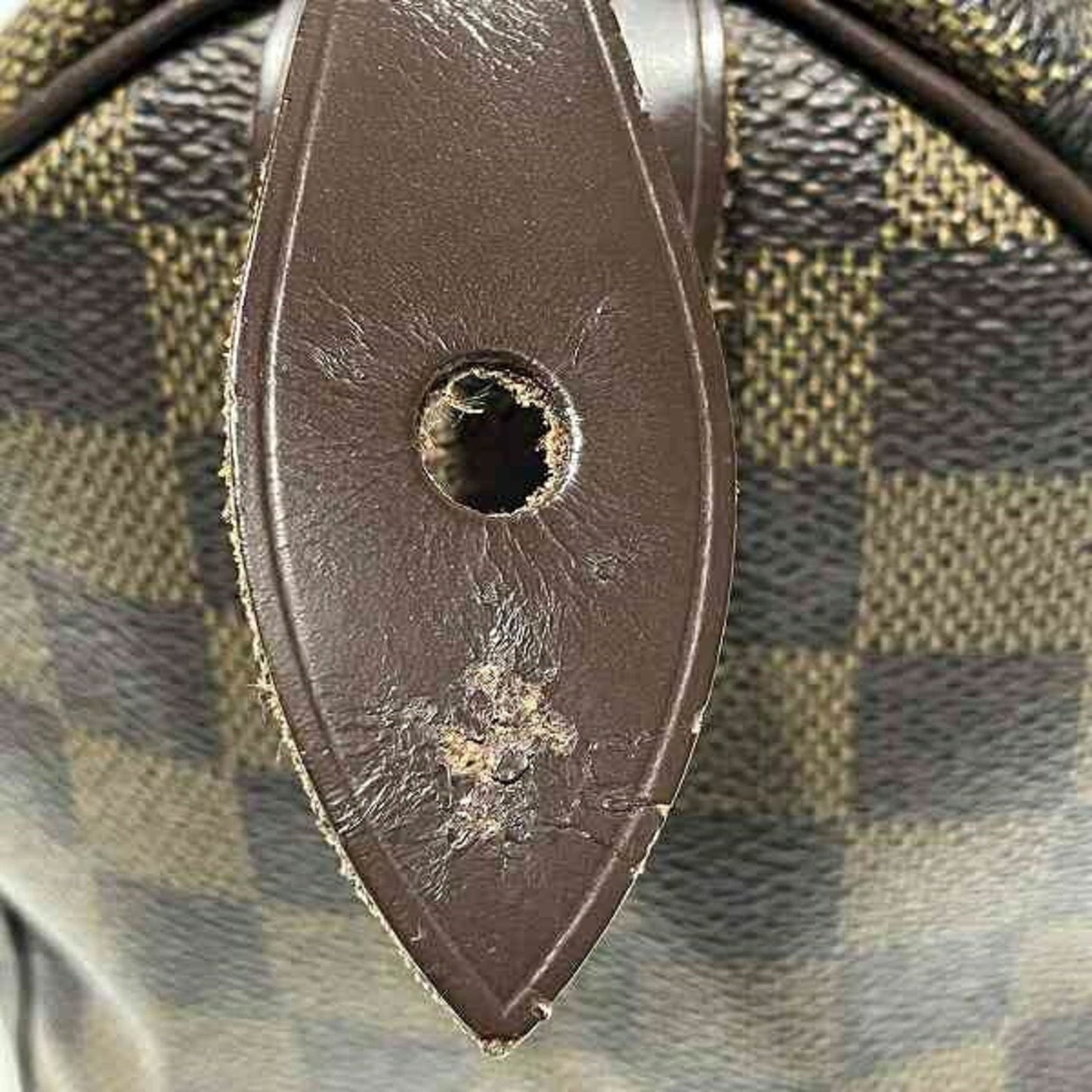 Louis Vuitton Speedy 25