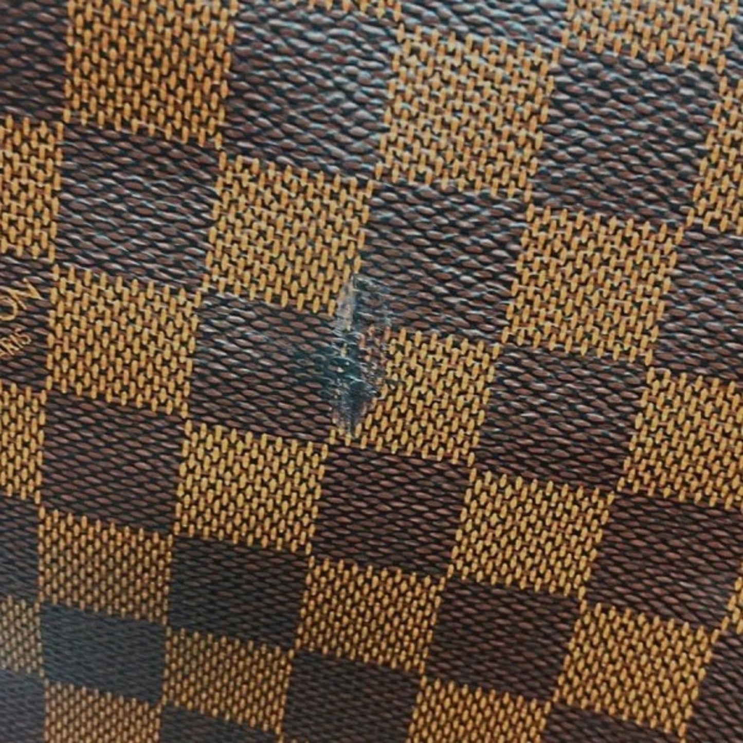 Louis Vuitton Delightfull PM