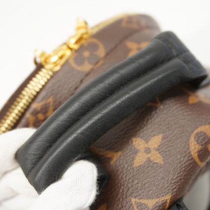 Louis Vuitton Palm Springs