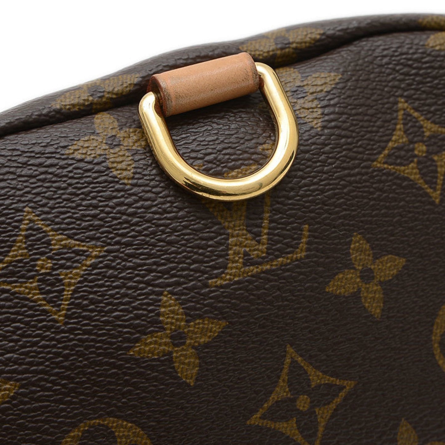 Louis Vuitton Belt bag