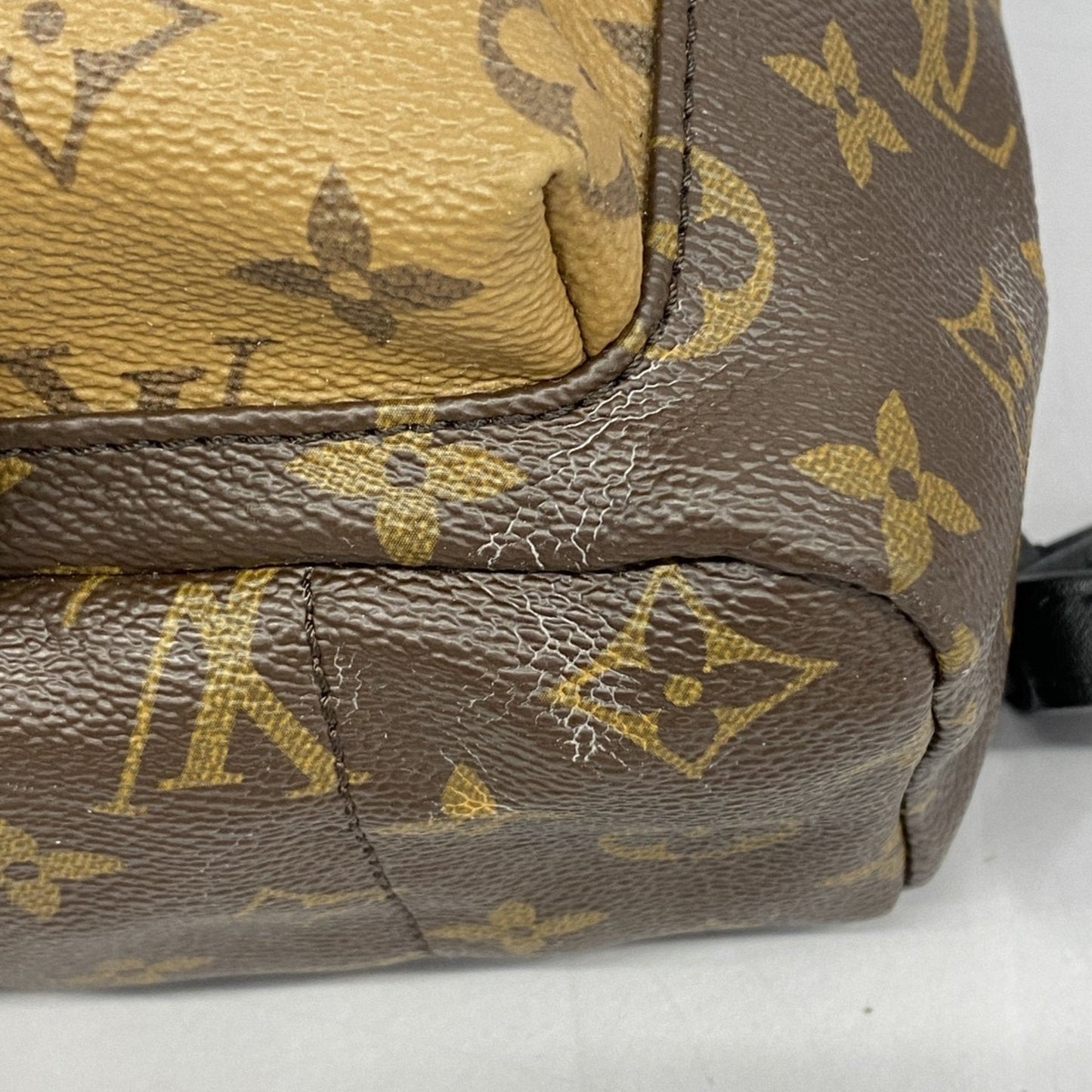 Louis Vuitton Palm Springs