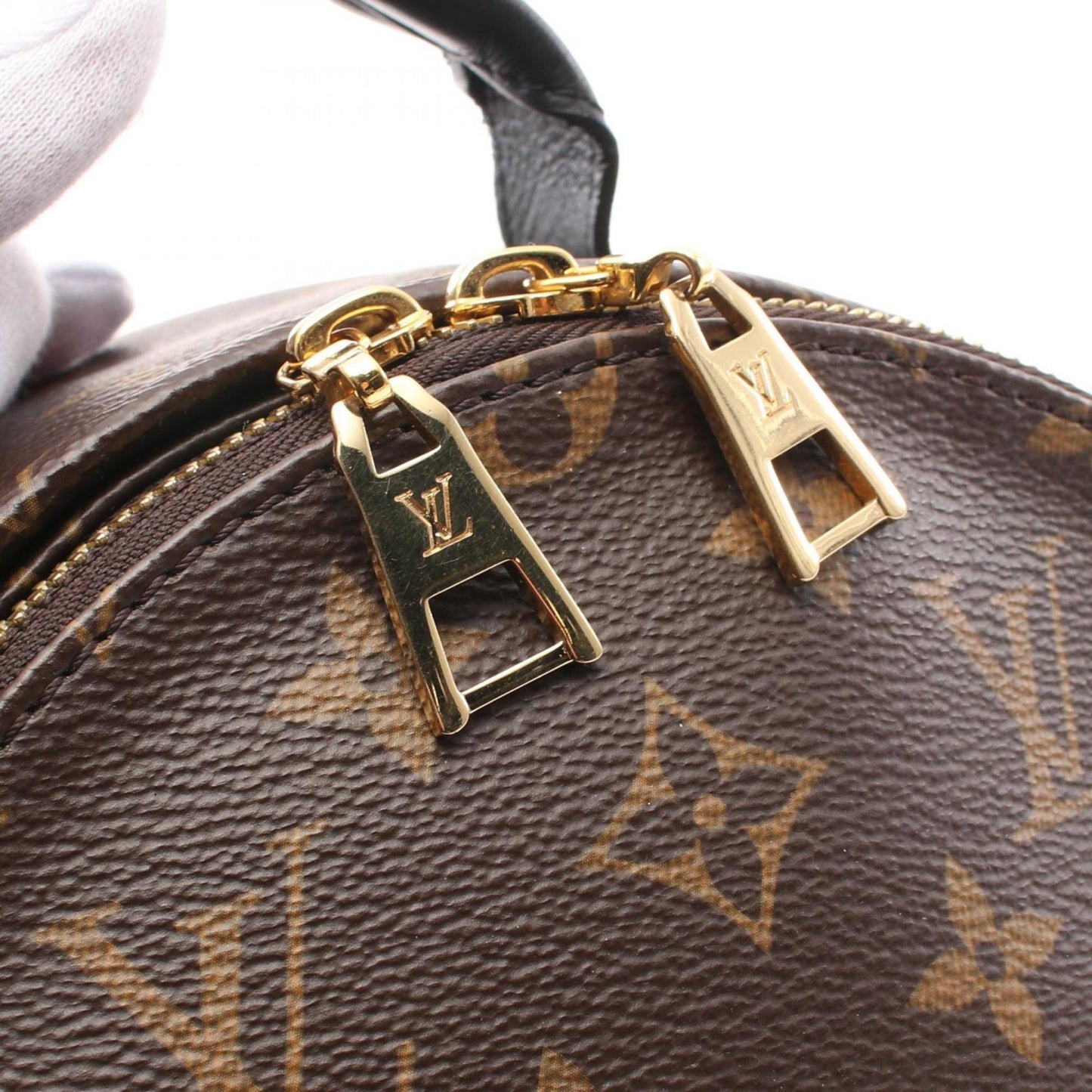 Louis Vuitton Palm Springs