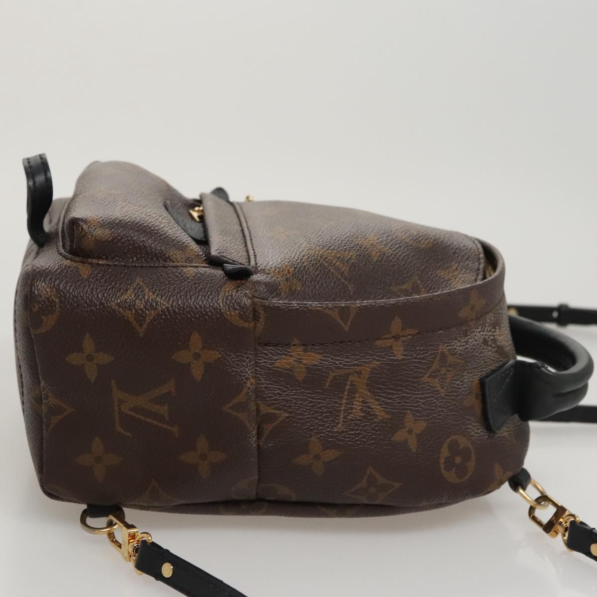 Louis Vuitton Palm Springs mini