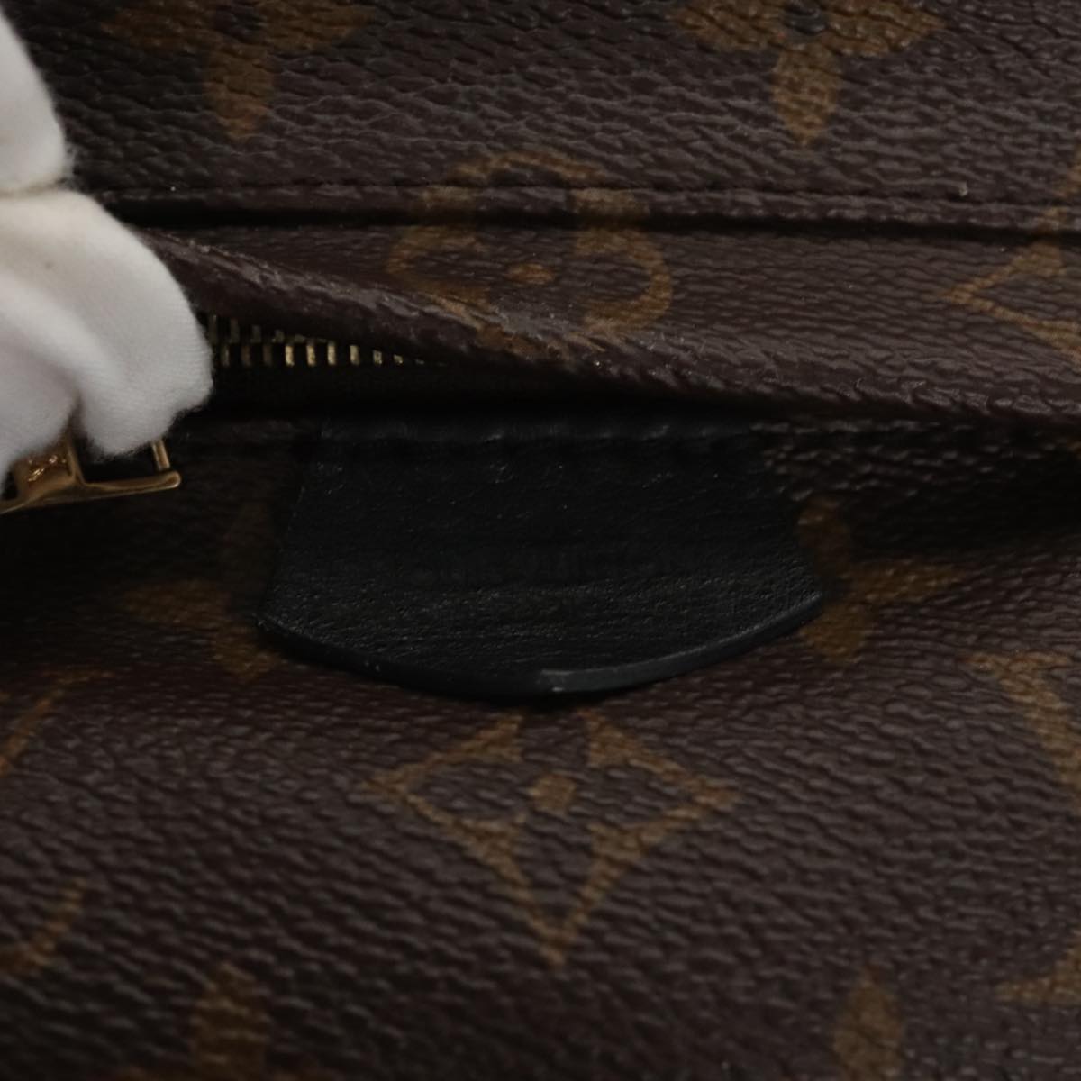 Louis Vuitton Palm Springs mini