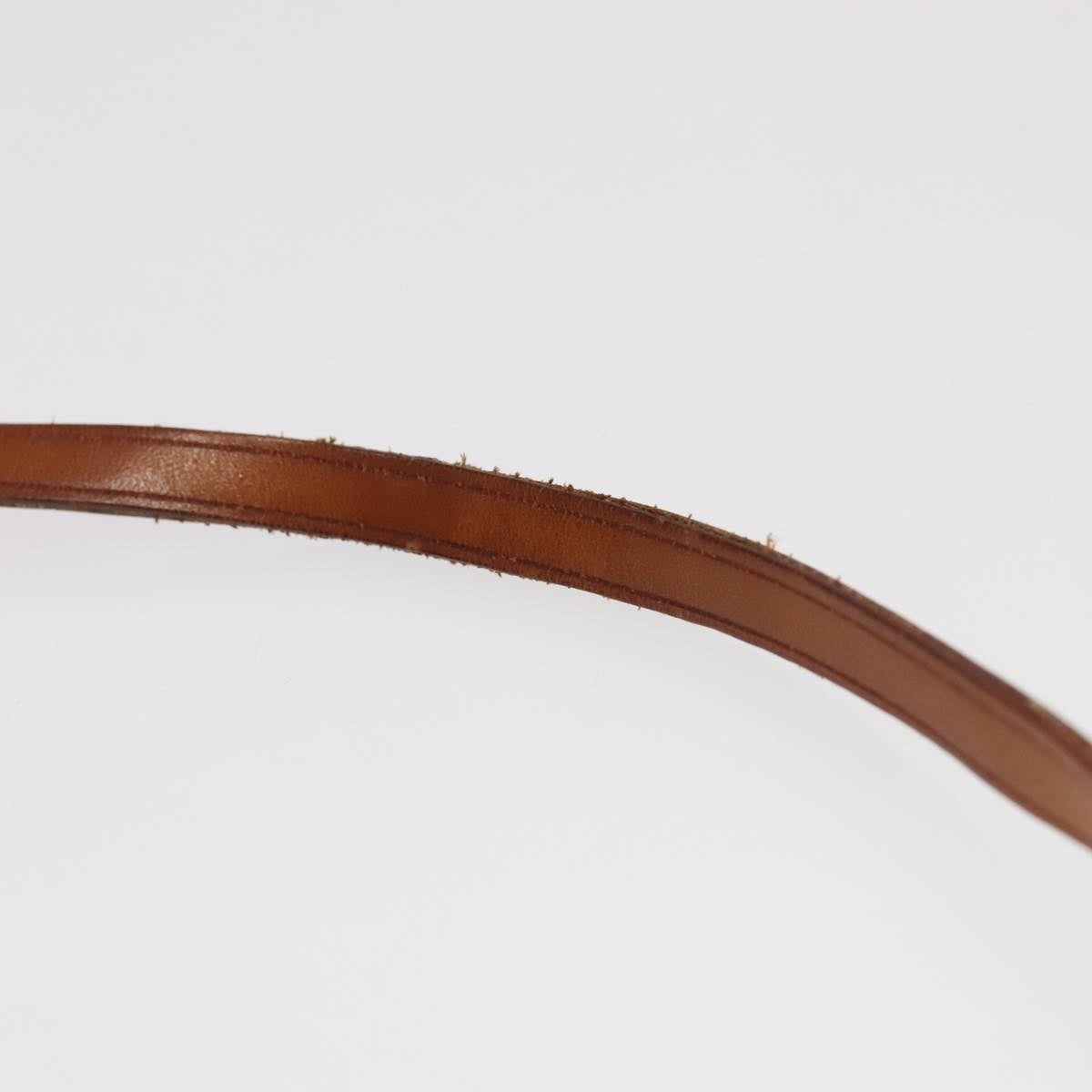 Louis Vuitton Pochette Accessoire
