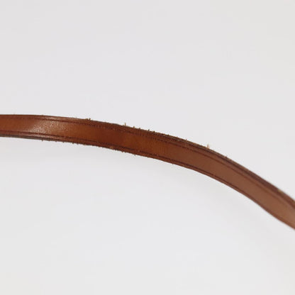 Louis Vuitton Pochette Accessoire