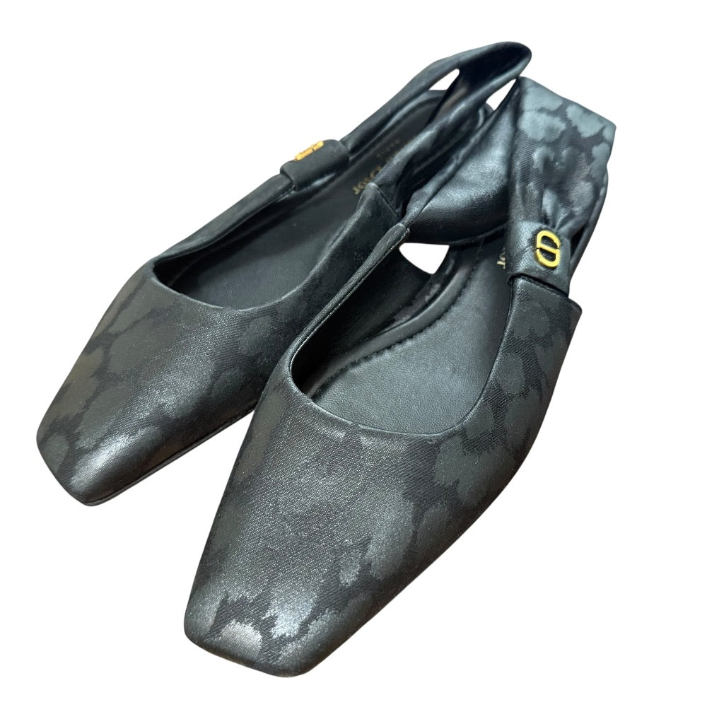 Christian Dior Leopard Flat Shoes