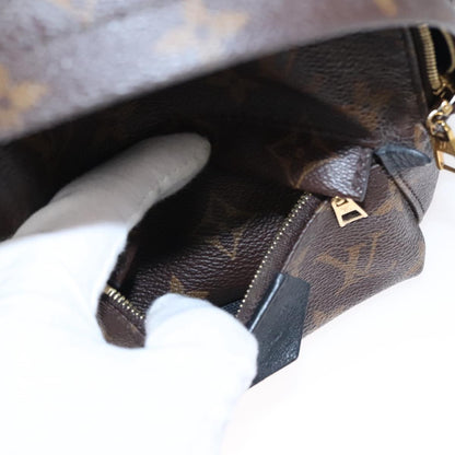 Louis Vuitton Palm Springs mini