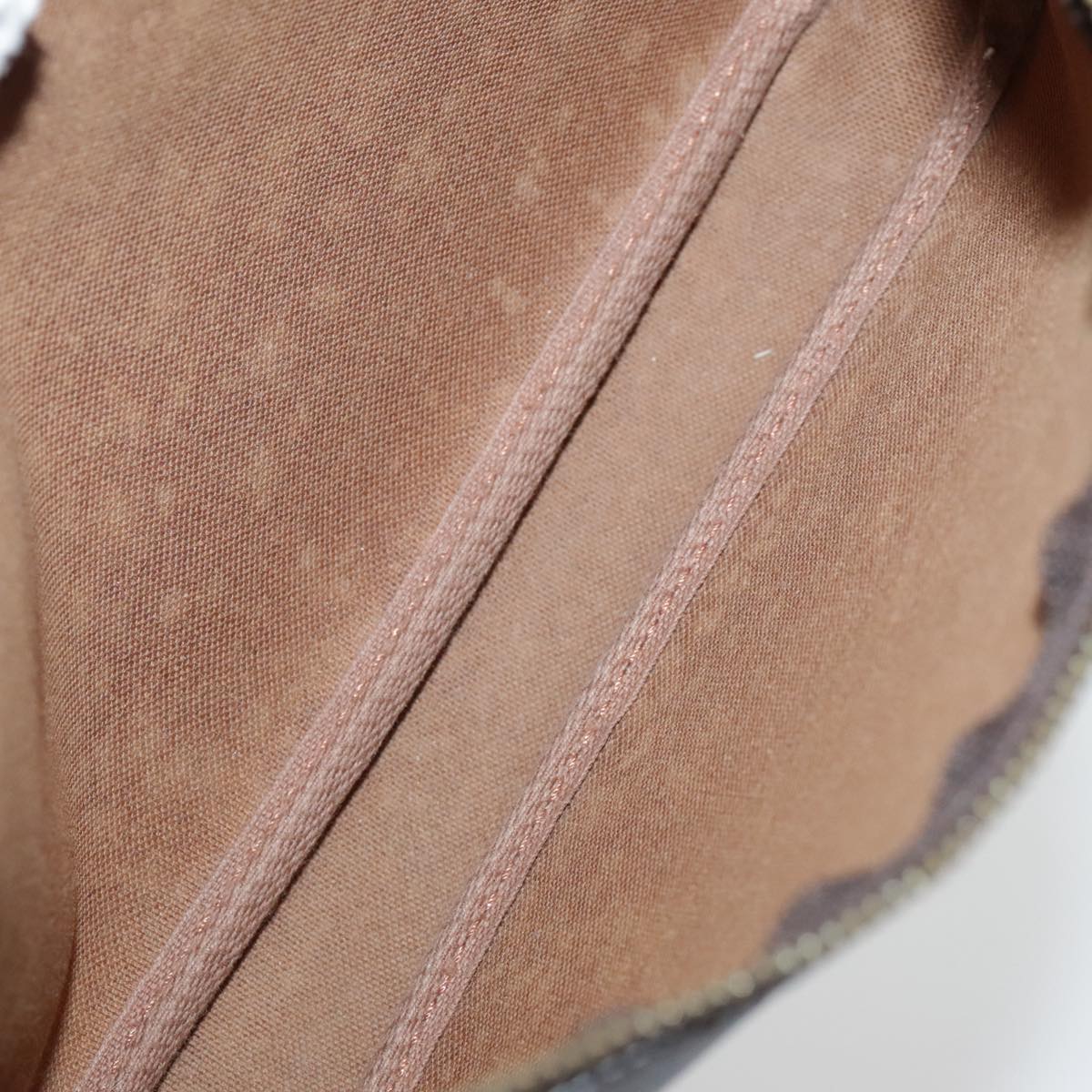 Louis Vuitton Pochette Accessoire