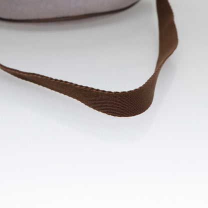 Gucci GG canvas