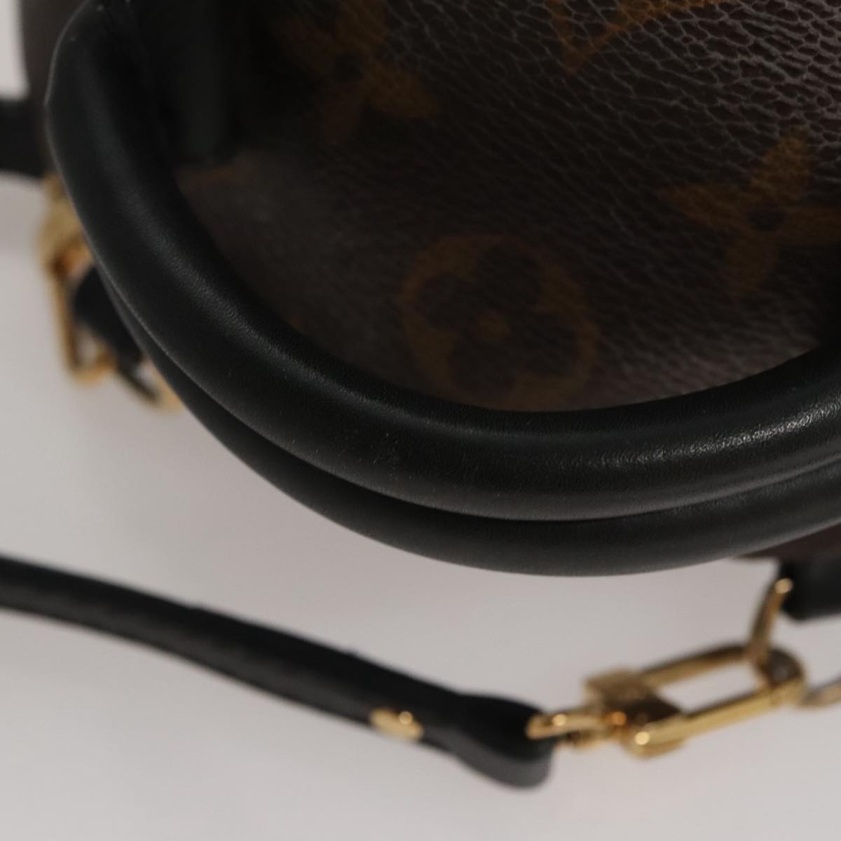 Louis Vuitton Palm Springs mini