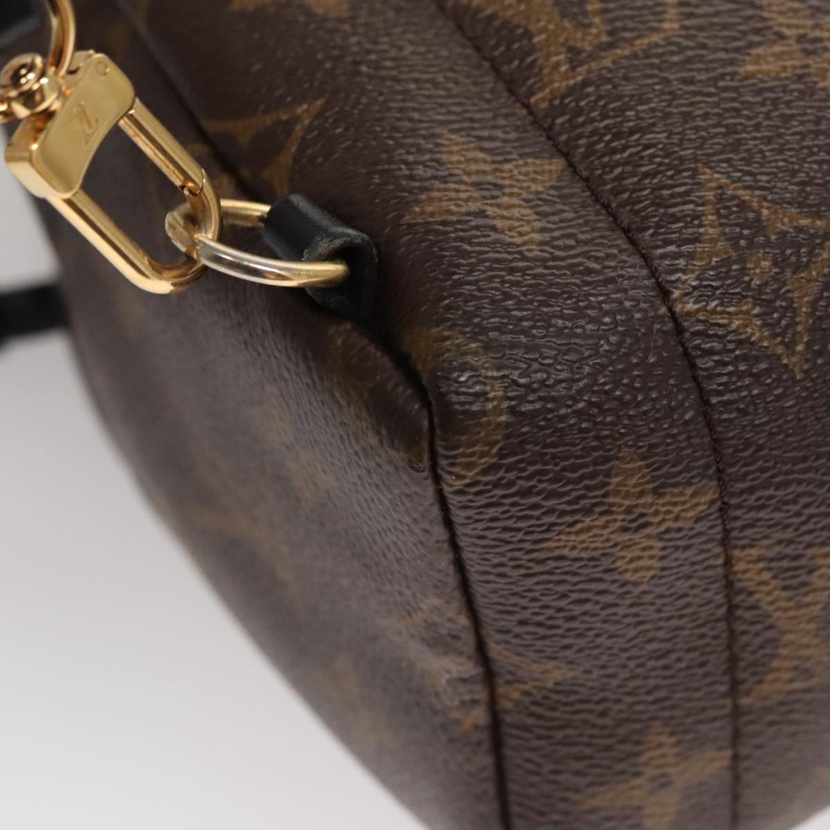 Louis Vuitton Palm Springs mini