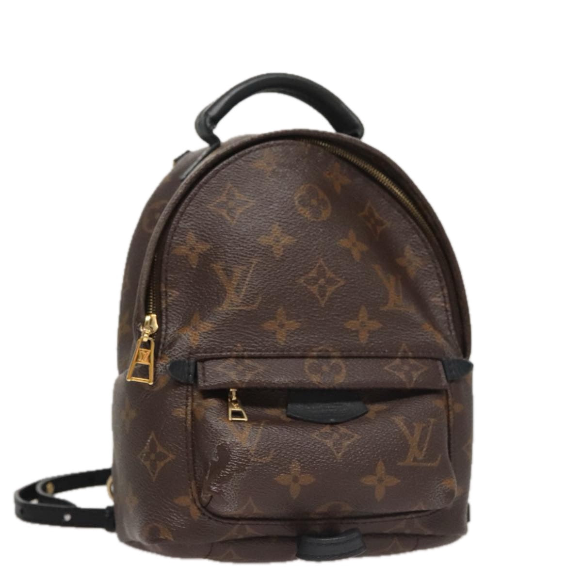Louis Vuitton Palm Springs mini
