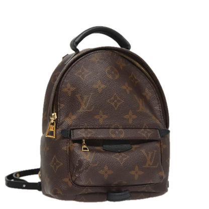 Louis Vuitton Palm Springs mini