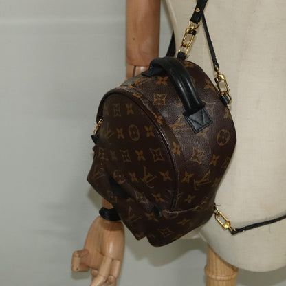 Louis Vuitton Palm Springs mini