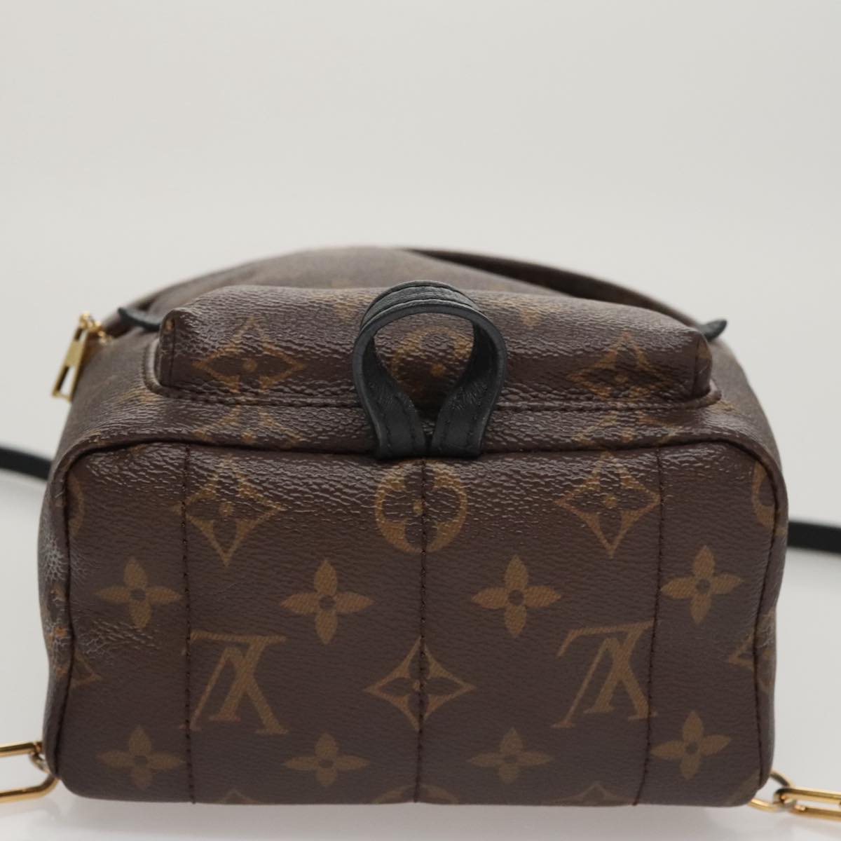 Louis Vuitton Palm Springs mini