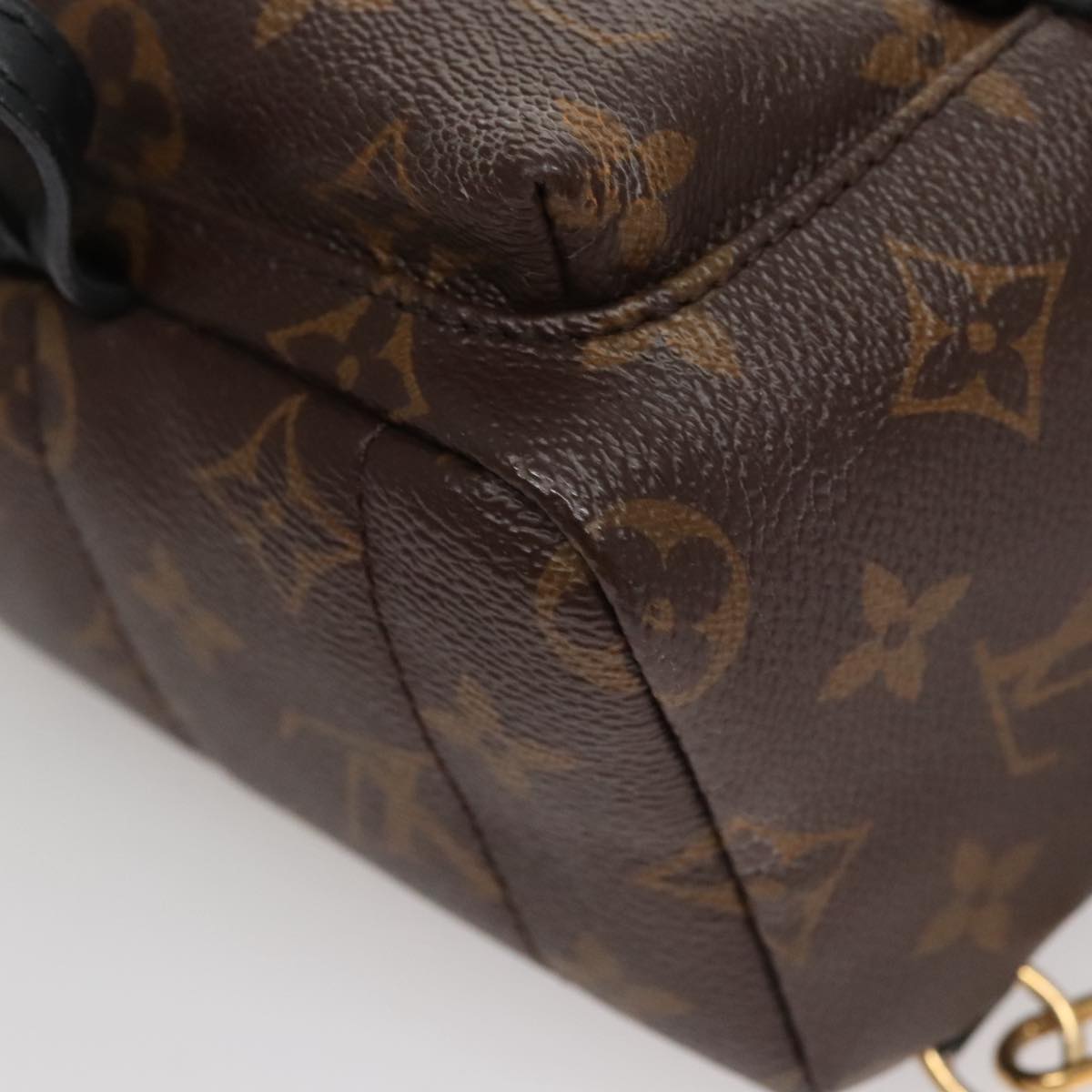 Louis Vuitton Palm Springs mini