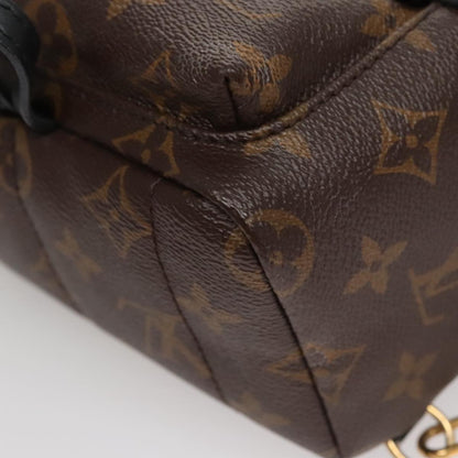 Louis Vuitton Palm Springs mini