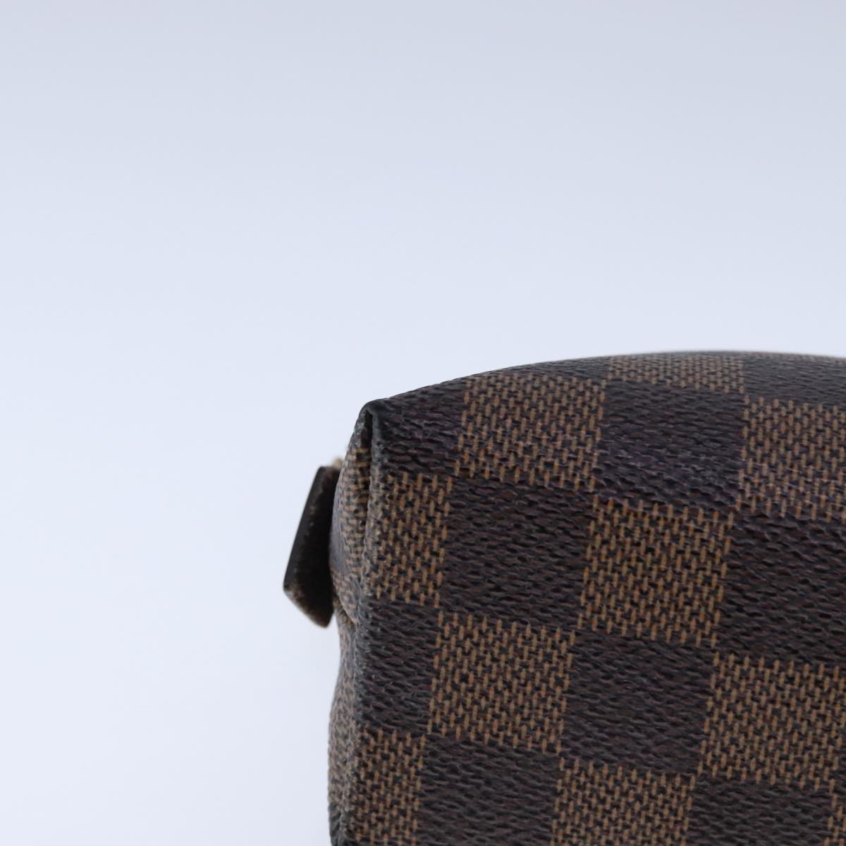 Louis Vuitton Cosmetic Pouch