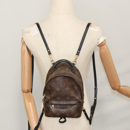 Louis Vuitton Palm Springs mini