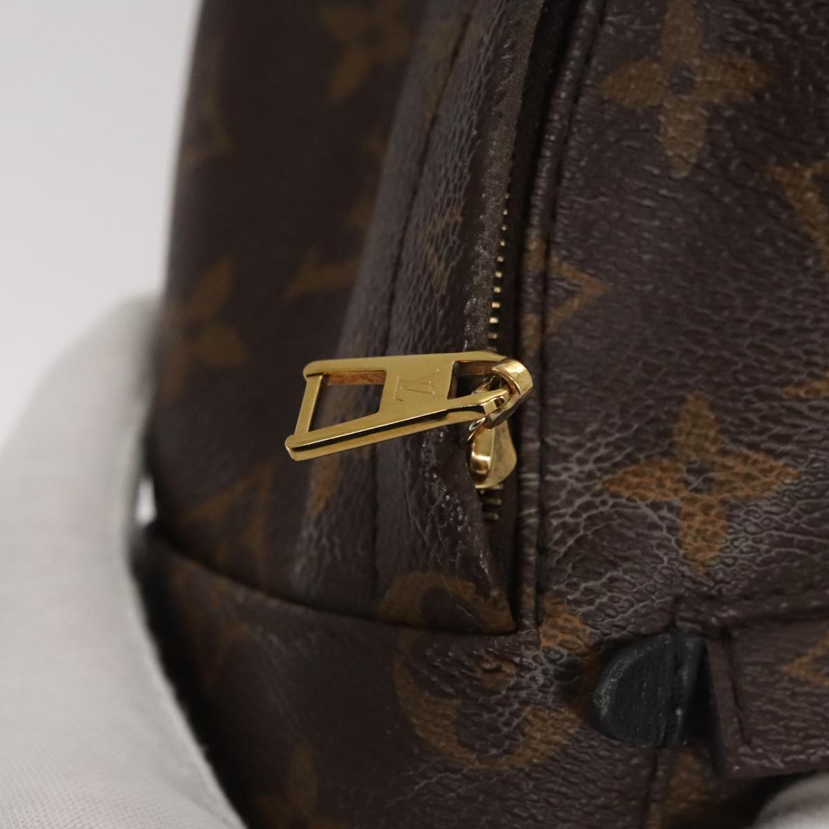 Louis Vuitton Palm Springs mini