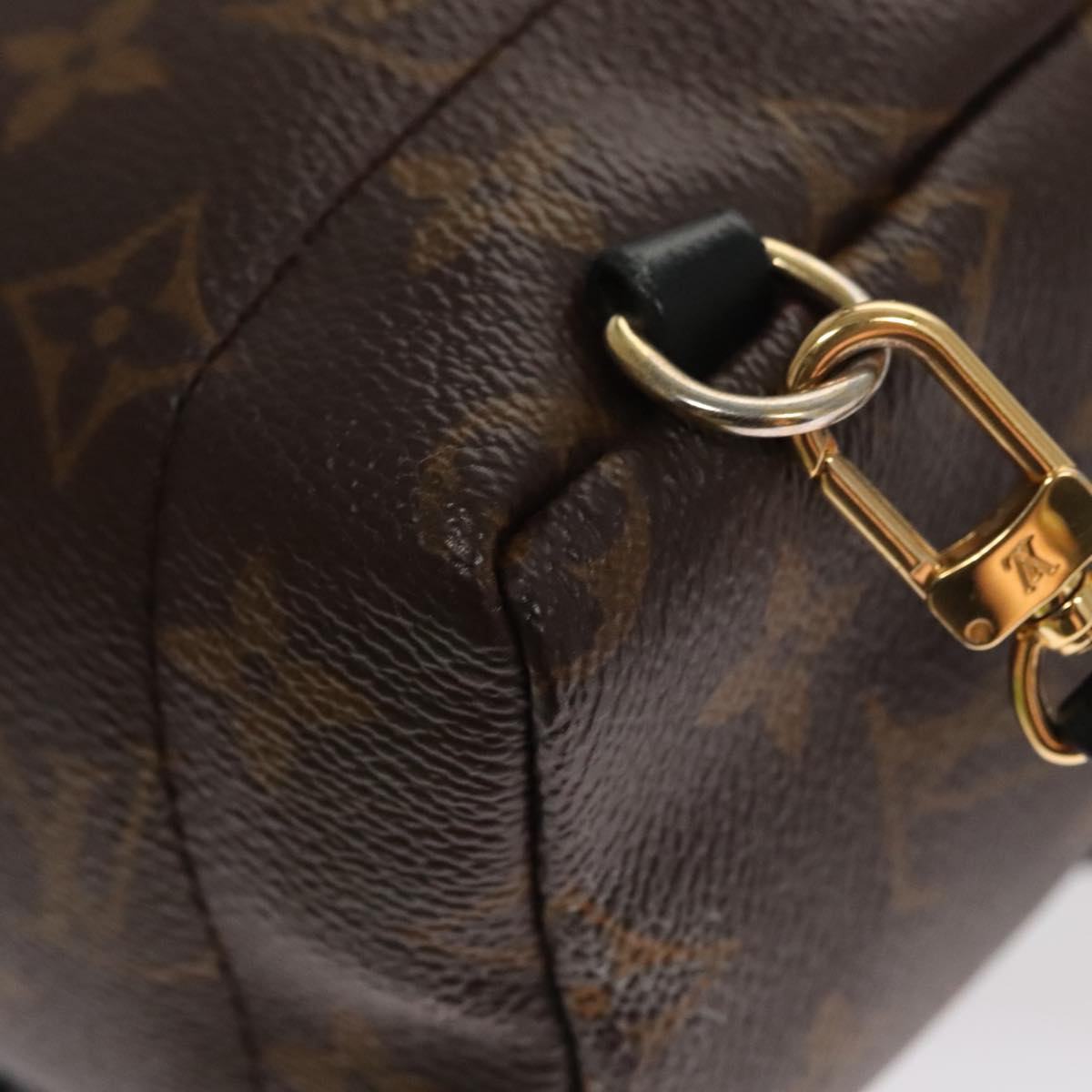 Louis Vuitton Palm Springs mini