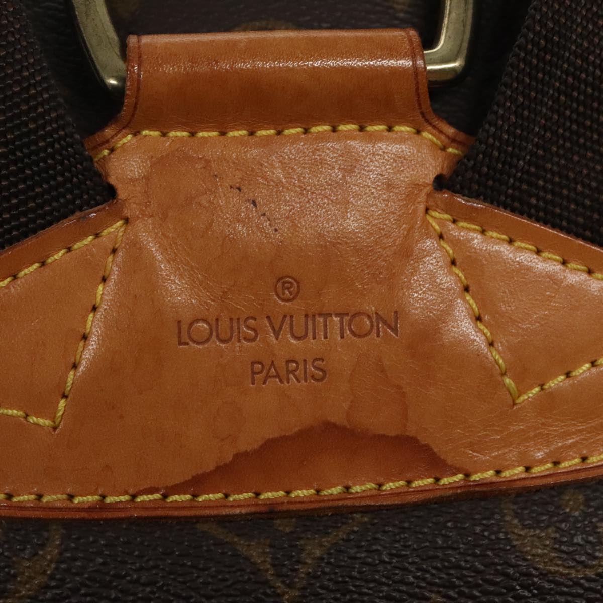 Louis Vuitton Montsouris GM